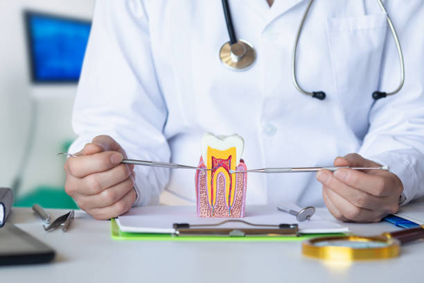 Best Emergency Dentist for Special Needs Patients in Madison, SD